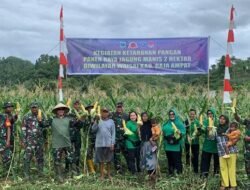 Kodim 1805 Raja Ampat Panen Raya Jagung