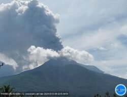 PVMBG: Awan Panas Gunung Lewotobi Laki-laki Capai Satu Kilometer