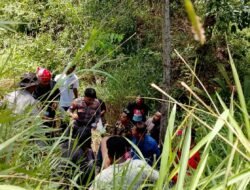 Tujuh Hari Hilang, Ulfa Tamima Korban Penculikan Ditemukan Selamat di Jurang Puncak Arfak, Kota Sorong