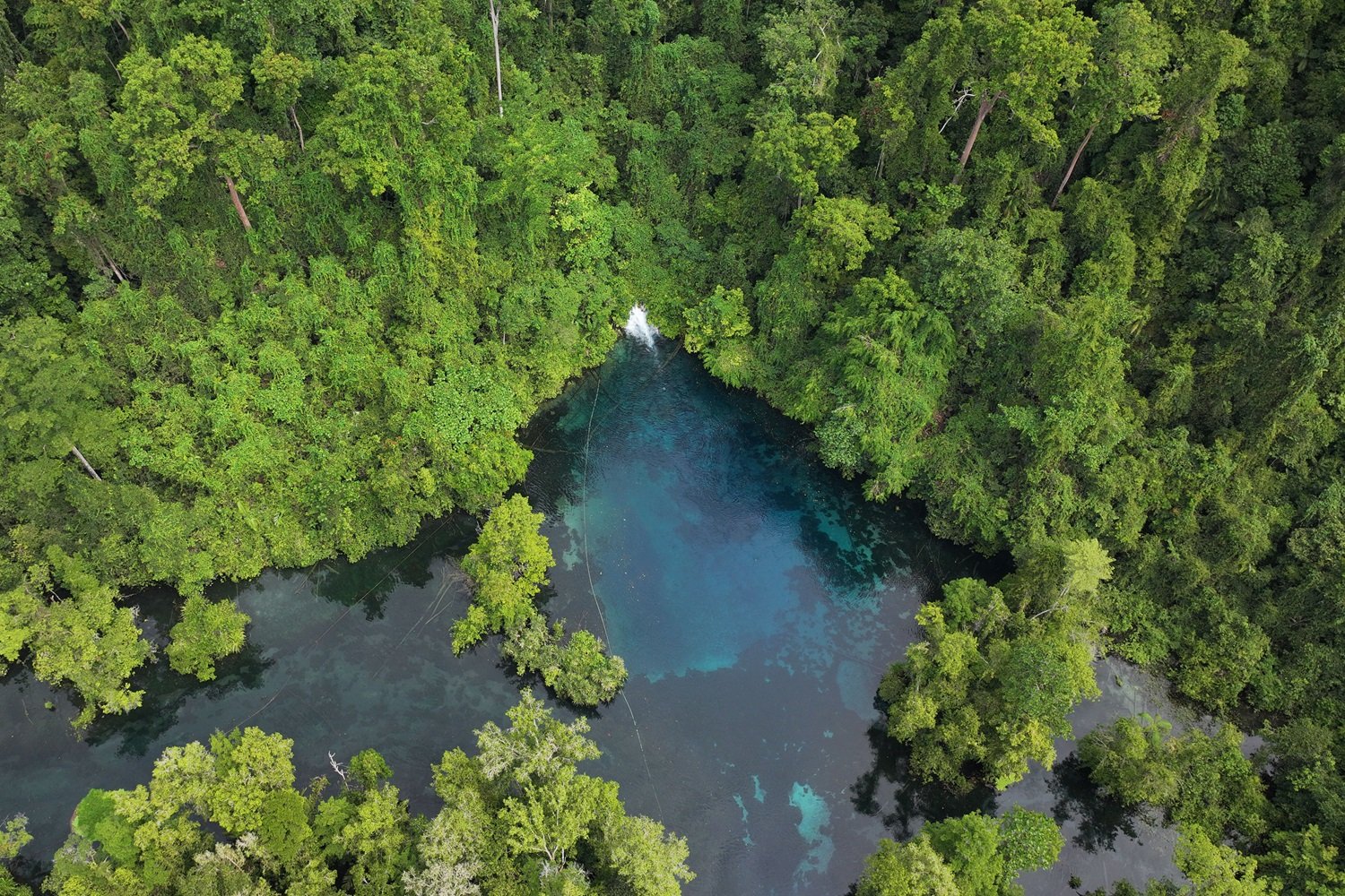 KET: Desa-Wisata-Klaogin-Sorong-Selatan-Dok.Konservasi-Indonesia-Rens-Lewerisa/Dok. Konservasi Indonesia