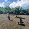 Tani Merdeka Papua Tengah Turun ke Sawah, Dorong Ketahanan Pangan Lewat Aksi Nyata