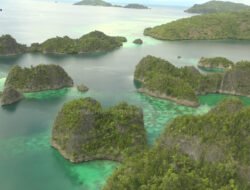 Terbang di Atas Surga: Klarifikasi dari Langit Raja Ampat