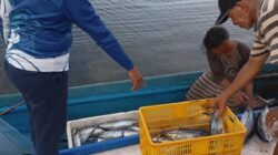 Supnin, Lumbung Ikan di Utara Raja Ampat yang Terbukti Sejak Lama
