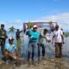 Masyarakat Kawanua PBD Tanam Ratusan Bibit Mangrove di Raja Ampat: Jaga Pantai, Rawat Alam dan Dukung Pariwisata