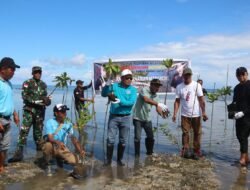 Masyarakat Kawanua PBD Tanam Ratusan Bibit Mangrove di Raja Ampat: Jaga Pantai, Rawat Alam dan Dukung Pariwisata