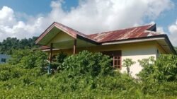 Viral! Kantor Distrik Salawati Barat Dipenuhi Rumput Liar: Warga Pertanyakan Kinerja Pegawai