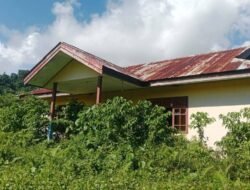 Viral! Kantor Distrik Salawati Barat Dipenuhi Rumput Liar: Warga Pertanyakan Kinerja Pegawai