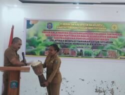 Raja Ampat Dorong Homestay Mandiri Pangan Lewat Pelatihan Budidaya Sayuran
