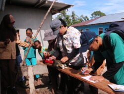 Mahasiswa UGM Gelar Vaksinasi Hewan dan Pemberian Vitamin untuk Sapi di Pulau Jefman