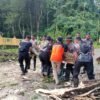 Pantauan Satgas Bencana, Hujan Deras Sebabkan Banjir dan Pohon Tumbang di Waisai