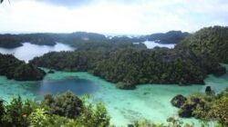 Raja Ampat Resmi Sandang Status Ganda UNESCO: Dari Global Geopark hingga Cagar Biosfer Dunia