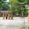 Bupati Raja Ampat Ingatkan Kebersihan Lingkungan dan Disiplin ASN: “TPP Harus Sesuai Kinerja”