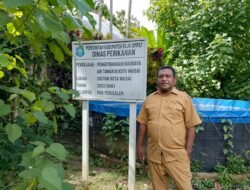 Dinas Perikanan Raja Ampat Distribusikan 20 Ribu Benih Ikan Nila ke 17 Kelompok Budidaya di Waisai