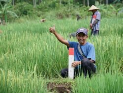 Jelang Mudik Lebaran, ATR/BPN Ingatkan Warga Jaga Batas Tanah untuk Cegah Konflik