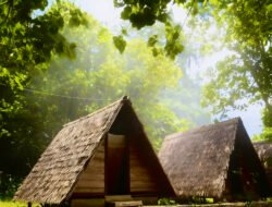 Menembus Rimba Waigeo: Petualangan Alam di Labuta Homestay Teluk Mayalibit
