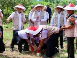 Cegah Sengketa dengan Tetangga, Menteri Nusron Ajak Masyarakat Pasang Patok Batas Tanah Sejak Dini