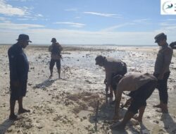 Geger Temuan Bom Rakitan di Pulau Urbabo Kecil, KKP Ayau dan Polisi Langsung Evakuasi