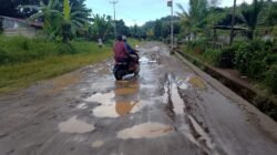 Jalan Poros Enam Kampung di Waigeo Utara Rusak Parah Warga Darumbab Desak Pemerintah Segera Bertindak