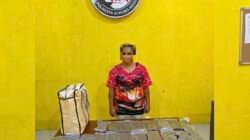 Nyaris Beredar di Sorong, 597 Gram Ganja Diamankan Polisi dari Tangan Seorang Perempuan