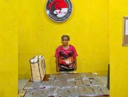 Nyaris Beredar di Sorong, 597 Gram Ganja Diamankan Polisi dari Tangan Seorang Perempuan