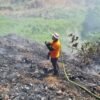 BPBD Raja Ampat Padamkan 60 Titik Api dalam Sebulan, Warga Diimbau Tidak Bakar Lahan