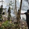 Karhutla Melanda Sejumlah Titik di Raja Ampat, Puluhan Hektare Hutan Terbakar