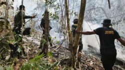 Karhutla Melanda Sejumlah Titik di Raja Ampat, Puluhan Hektare Hutan Terbakar