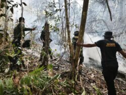 Karhutla Melanda Sejumlah Titik di Raja Ampat, Puluhan Hektare Hutan Terbakar