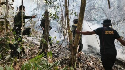 Karhutla Melanda Sejumlah Titik di Raja Ampat, Puluhan Hektare Hutan Terbakar