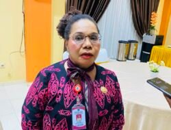 Pemprov PBD Perkuat Basis Data IKM OAP Raja Ampat Melalui SIINas