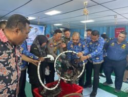 Ekspor Perdana Ikan Kerapu Hidup dari Raja Ampat Resmi Diluncurkan, Dorong Kesejahteraan Nelayan dan PAD