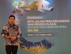 Raja Ampat Jadi Percontohan Karbon Biru Nasional, Kadis DLH dan Kadis Pariwisata Tegaskan Kesiapan Daerah