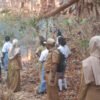 Kebakaran Hutan Meluas di Yenanas Raja Ampat, Guru dan Siswa Turun Padamkan Api