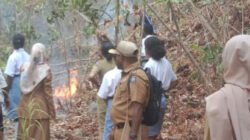 Kebakaran Hutan Meluas di Yenanas Raja Ampat, Guru dan Siswa Turun Padamkan Api