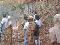 Kebakaran Hutan Meluas di Yenanas Raja Ampat, Guru dan Siswa Turun Padamkan Api