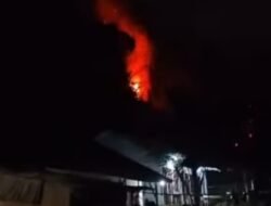Kebakaran Hutan di Waisai, Api Mendekati Ruang Kelas dan Perumahan Guru SMK Negeri 2 Raja Ampat