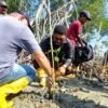 Ancaman Abrasi di Pulau Ayau&nbsp;Raja&nbsp;Ampat,&nbsp;Charles&nbsp;Imbir&nbsp;Dorong&nbsp;Gerakan&nbsp;Menanam Mangrove&nbsp;