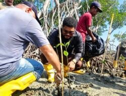 Ancaman Abrasi di Pulau Ayau&nbsp;Raja&nbsp;Ampat,&nbsp;Charles&nbsp;Imbir&nbsp;Dorong&nbsp;Gerakan&nbsp;Menanam Mangrove&nbsp;