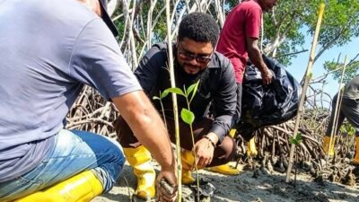 Ancaman Abrasi di Pulau Ayau&nbsp;Raja&nbsp;Ampat,&nbsp;Charles&nbsp;Imbir&nbsp;Dorong&nbsp;Gerakan&nbsp;Menanam Mangrove&nbsp;
