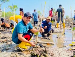Mangrove&nbsp;Bukan&nbsp;Sekadar&nbsp;Penghijauan,&nbsp;DLH&nbsp;Raja&nbsp;Ampat&nbsp;Dorong&nbsp;Aksi&nbsp;Nyata Berkelanjutan.